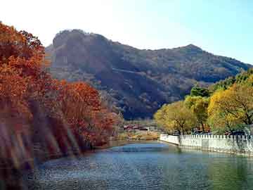 澳门二四六天天彩图库，装饰论坛